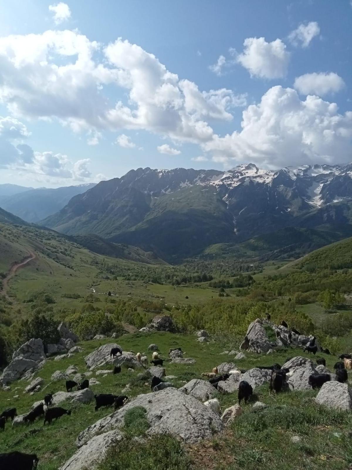 Askireg Hotel Tunceli Eksteriør billede